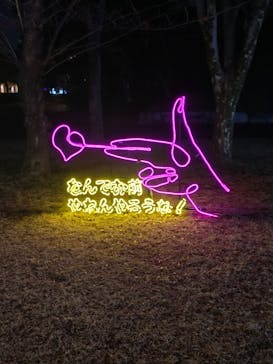 大阪城イルミナージュに投稿された画像（2025/12/30）