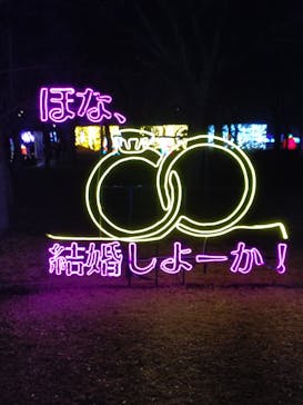 大阪城イルミナージュに投稿された画像（2025/12/30）