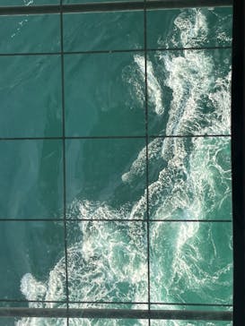 徳島県立 渦の道に投稿された画像（2025/12/30）