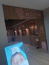 猫カフェモカ 名古屋栄店に投稿された画像（2025/12/30）