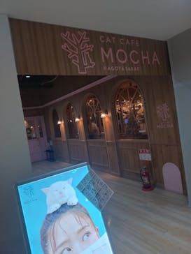 猫カフェモカ 名古屋栄店に投稿された画像（2025/12/30）