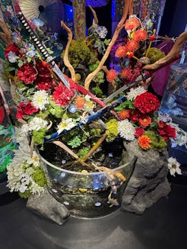 UWS AQUARIUM GA☆KYOに投稿された画像（2025/12/30）