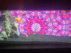 NARA KINGYO MUSEUMに投稿された画像（2025/12/30）