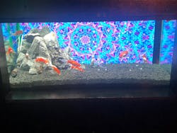 NARA KINGYO MUSEUMに投稿された画像（2025/12/30）