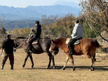 Moon River Horseに投稿された画像（2025/12/30）