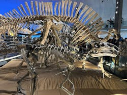 福井県立恐竜博物館に投稿された画像（2025/12/30）