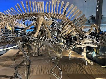 福井県立恐竜博物館に投稿された画像（2025/12/30）