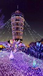 江の島シーキャンドルに投稿された画像（2025/12/30）