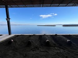 Sand SPA（別府海浜砂湯）に投稿された画像（2025/12/30）