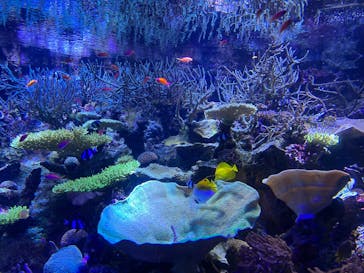 名古屋港水族館に投稿された画像（2025/12/30）