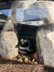 京都水族館に投稿された画像（2025/12/30）