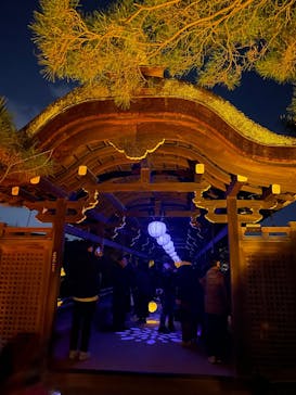 NAKEDヨルマイリ 2025-26 平安神宮に投稿された画像（2025/12/30）