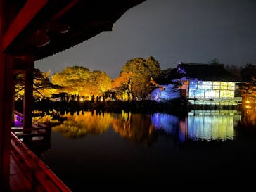 NAKEDヨルマイリ 2025-26 平安神宮に投稿された画像（2025/12/30）