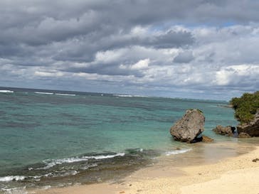 沖縄美ら海水族館に投稿された画像（2025/12/30）