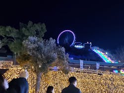 さがみ湖MORI MORIに投稿された画像（2025/12/30）