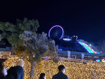 さがみ湖MORI MORIに投稿された画像（2025/12/30）