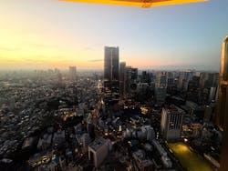 東京タワーに投稿された画像（2025/12/30）