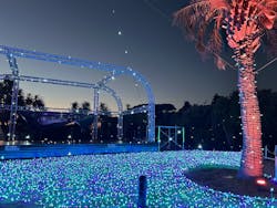 江の島シーキャンドルに投稿された画像（2025/12/30）