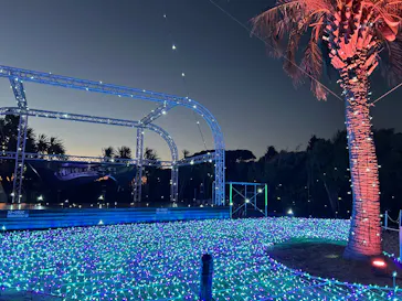 江の島シーキャンドルに投稿された画像（2025/12/30）