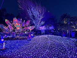 江の島シーキャンドルに投稿された画像（2025/12/30）