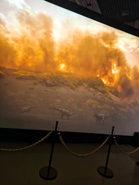 特別展「大絶滅展―生命史のビッグファイブ」に投稿された画像（2025/12/30）