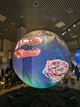 特別展「大絶滅展―生命史のビッグファイブ」に投稿された画像（2025/12/30）