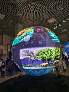 特別展「大絶滅展―生命史のビッグファイブ」に投稿された画像（2025/12/30）