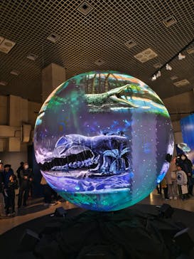 特別展「大絶滅展―生命史のビッグファイブ」に投稿された画像（2025/12/30）