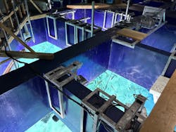 サンシャイン水族館に投稿された画像（2025/12/30）