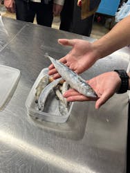 サンシャイン水族館に投稿された画像（2025/12/30）