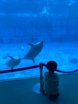 名古屋港水族館に投稿された画像（2025/12/30）