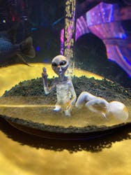 ひらかたパークに投稿された画像（2025/12/30）