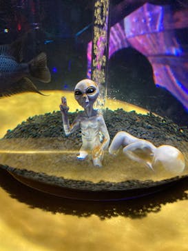 ひらかたパークに投稿された画像（2025/12/30）