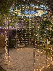 ひらかたパークに投稿された画像（2025/12/30）