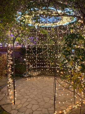 ひらかたパークに投稿された画像（2025/12/30）