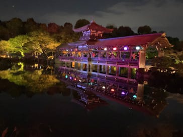 NAKEDヨルマイリ 2025-26 平安神宮に投稿された画像（2025/12/30）