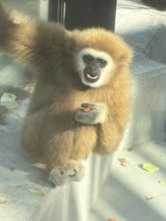 東武動物公園に投稿された画像（2025/12/30）