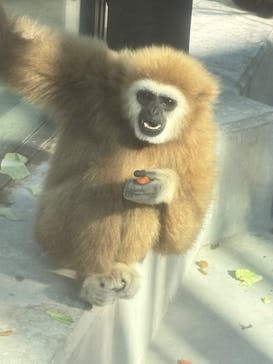 東武動物公園に投稿された画像（2025/12/30）