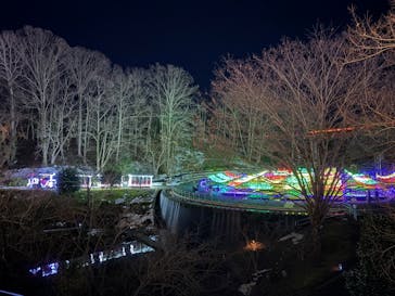 とっとり花回廊に投稿された画像（2025/12/30）