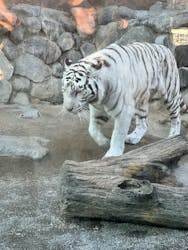 東武動物公園に投稿された画像（2025/12/30）