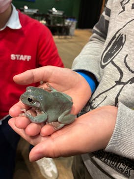 淡路ファームパーク イングランドの丘に投稿された画像（2025/12/30）