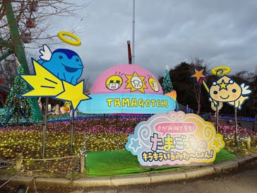 さがみ湖MORI MORIに投稿された画像（2025/12/30）