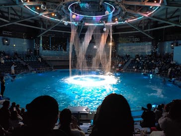 マクセル アクアパーク品川に投稿された画像（2025/12/30）