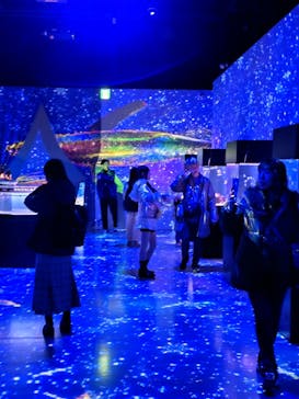 マクセル アクアパーク品川に投稿された画像（2025/12/30）