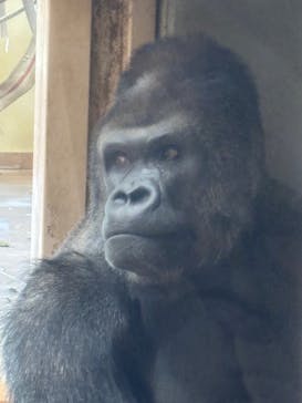 名古屋市東山動植物園に投稿された画像（2025/12/30）