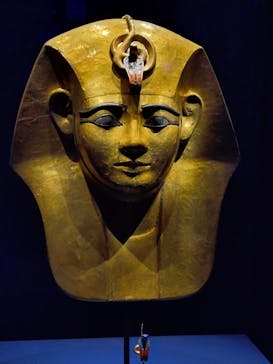 ACN ラムセス大王展 ファラオたちの黄金に投稿された画像（2025/12/30）