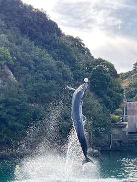 太地町立くじらの博物館に投稿された画像（2025/12/30）