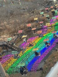 さがみ湖MORI MORIに投稿された画像（2025/12/30）