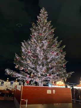 Christmas Market in 横浜赤レンガ倉庫 2025に投稿された画像（2025/12/30）