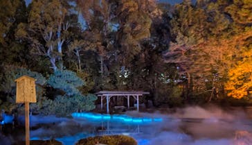 NAKEDヨルマイリ 2025-26 平安神宮に投稿された画像（2025/12/30）